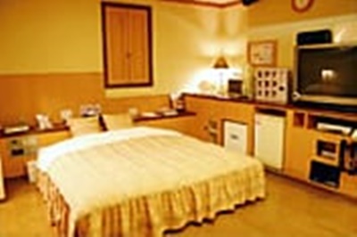 HOTEL-Cotton-tree